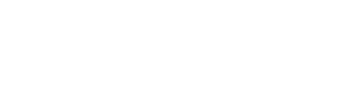 Witt Gruppe